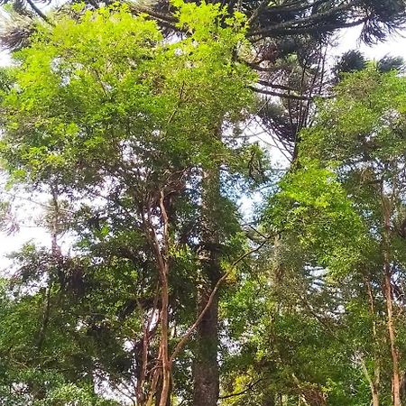 Chacara Rancho Paraiso Piraquara Eksteriør billede