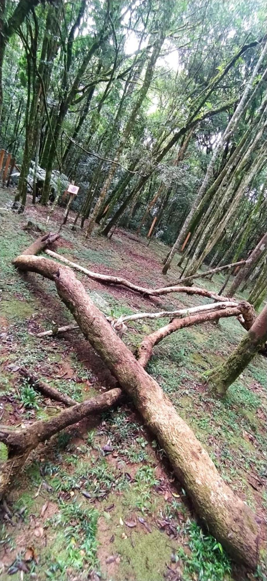 Chacara Rancho Paraiso Piraquara Eksteriør billede