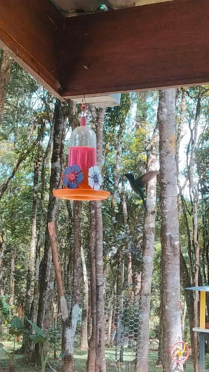 Chacara Rancho Paraiso Piraquara Eksteriør billede