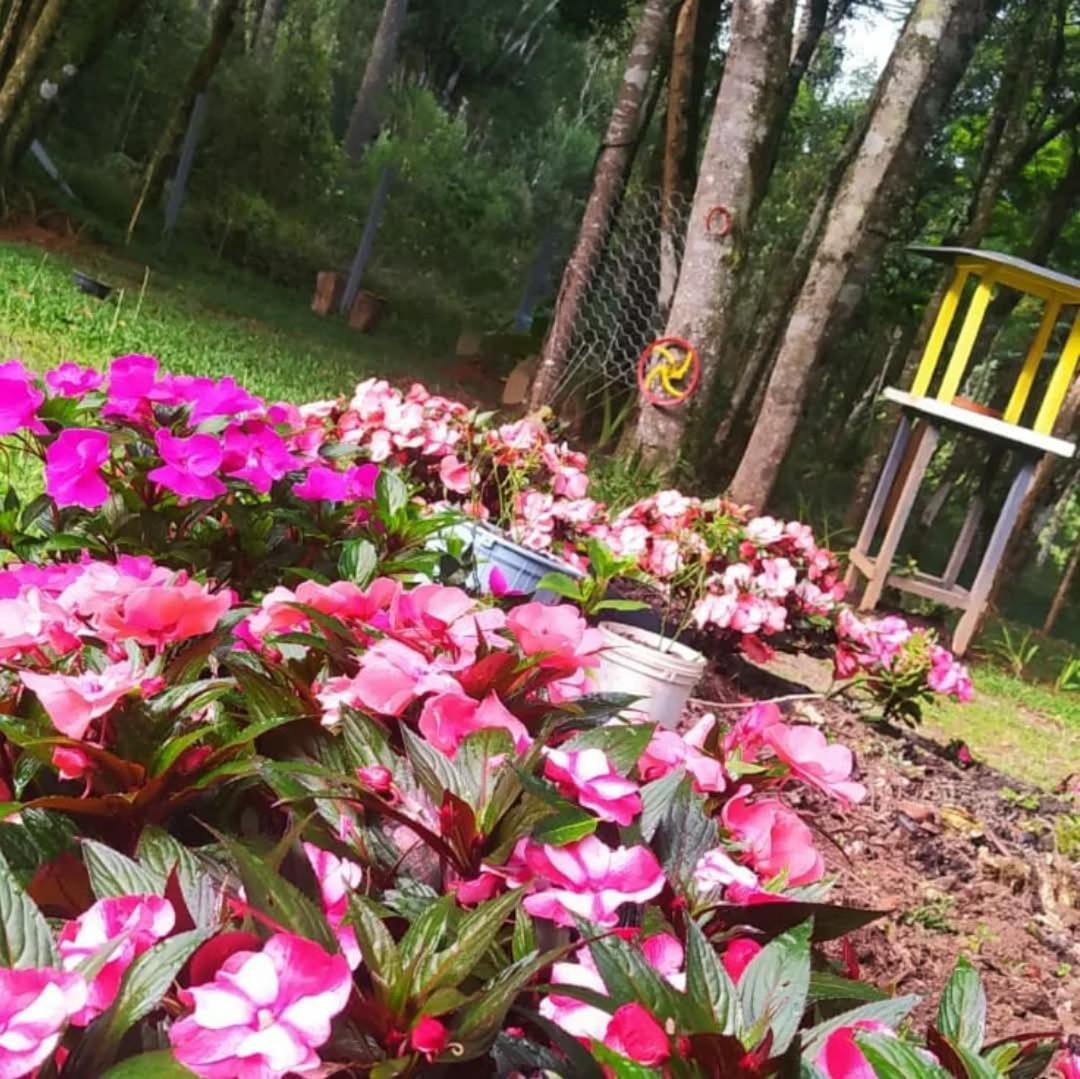 Chacara Rancho Paraiso Piraquara Eksteriør billede
