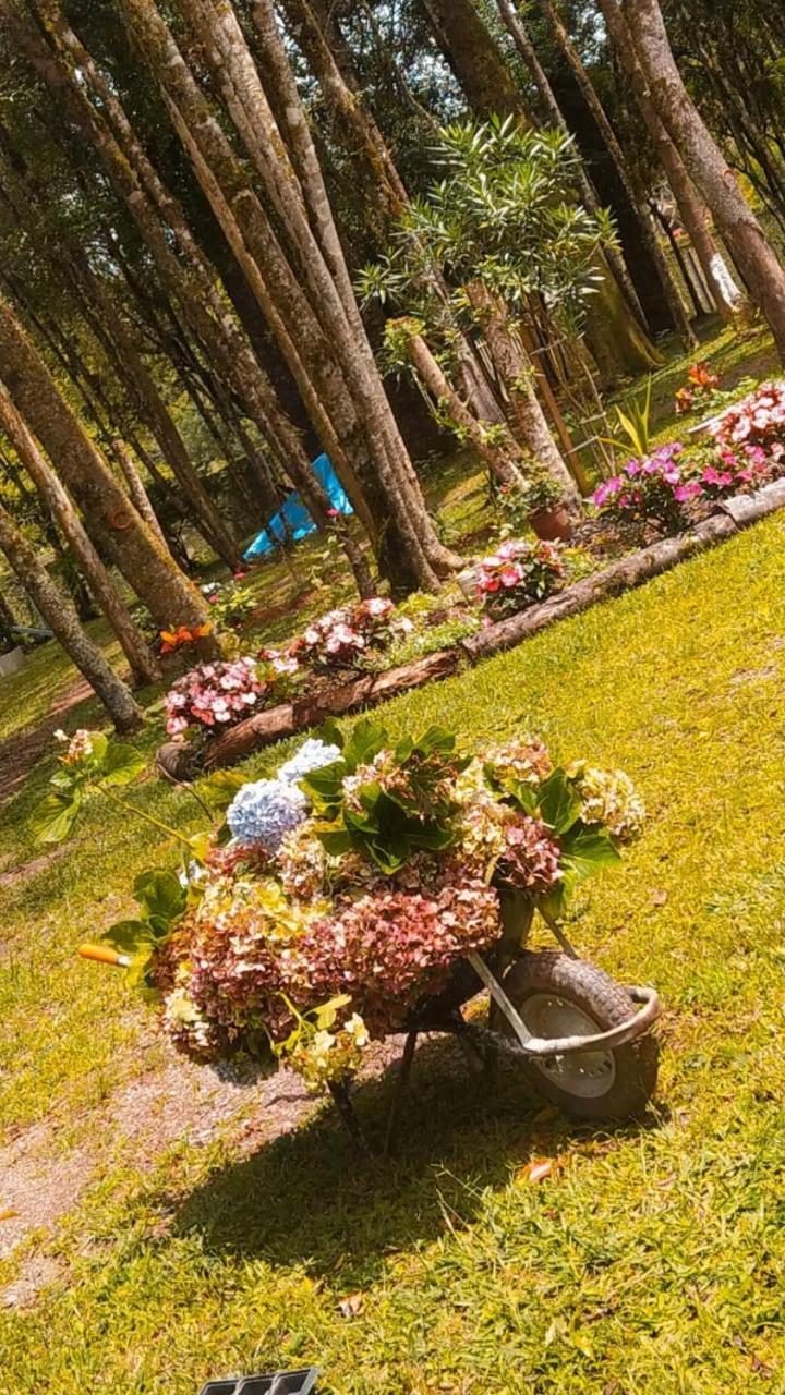 Chacara Rancho Paraiso Piraquara Eksteriør billede